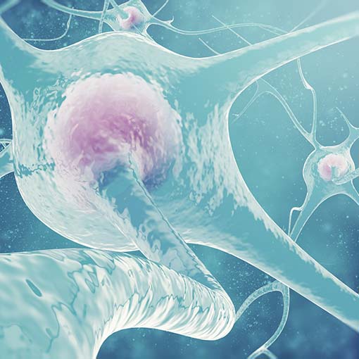 Guillain-Barré Syndrome: Understanding Mobility Challenges