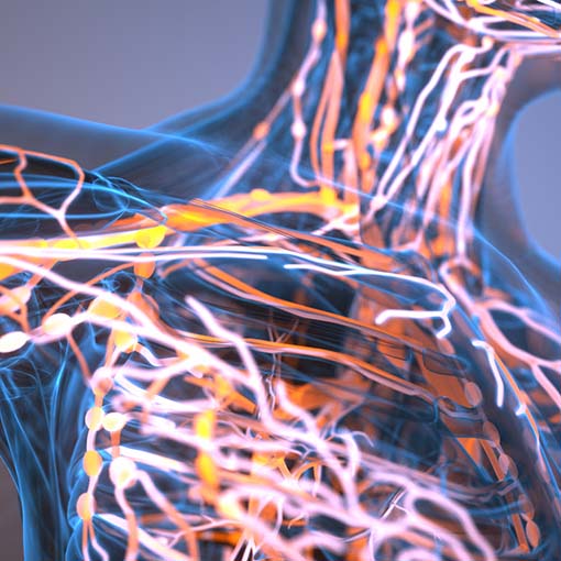 Multiple Sclerosis and Mobility Challenges