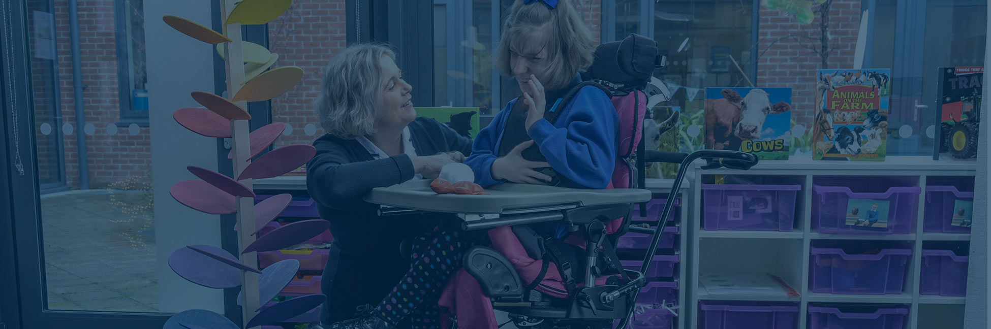 Options and Accessories