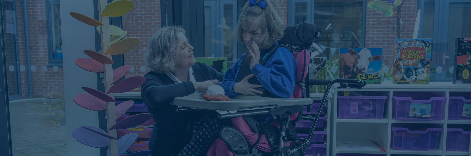 Soporte del tronco y cabeza - 2