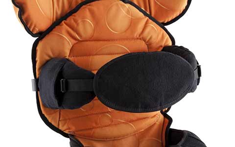 Soporte del tronco y cabeza