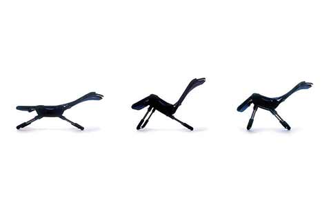 Suporte e segurança durante o banho