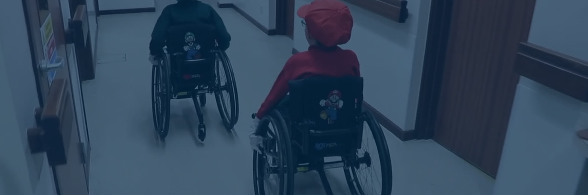 Especificaciones técnicas