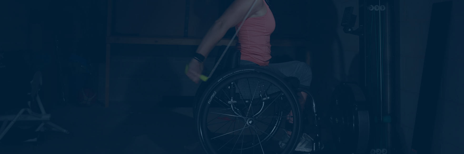 Opciones para todos los gustos y necesidades