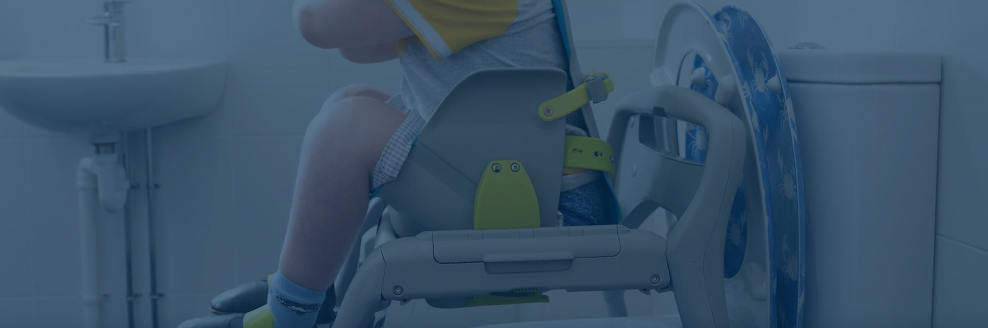 Potty Insert