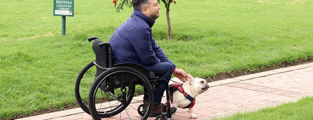 Guia completo sobre cadeiras de rodas