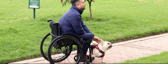 Guia completo sobre cadeiras de rodas