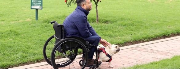 Complete Guide to Wheelchairs